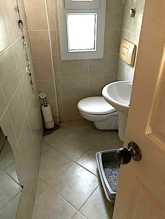 Downstairs Bathroom
